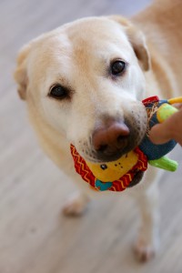 IMG_6957